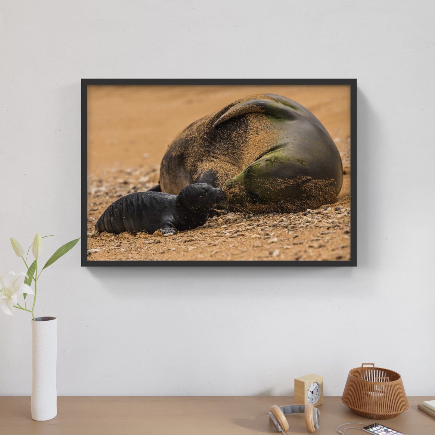 Monk Seal Pup 5