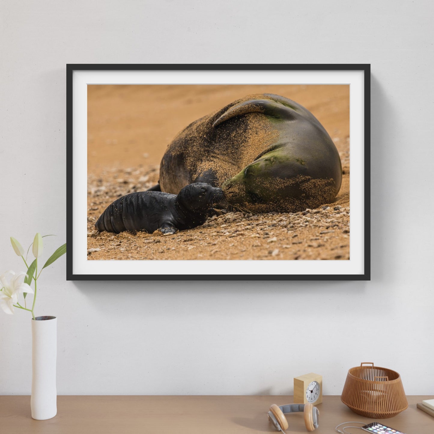 Monk Seal Pup 5