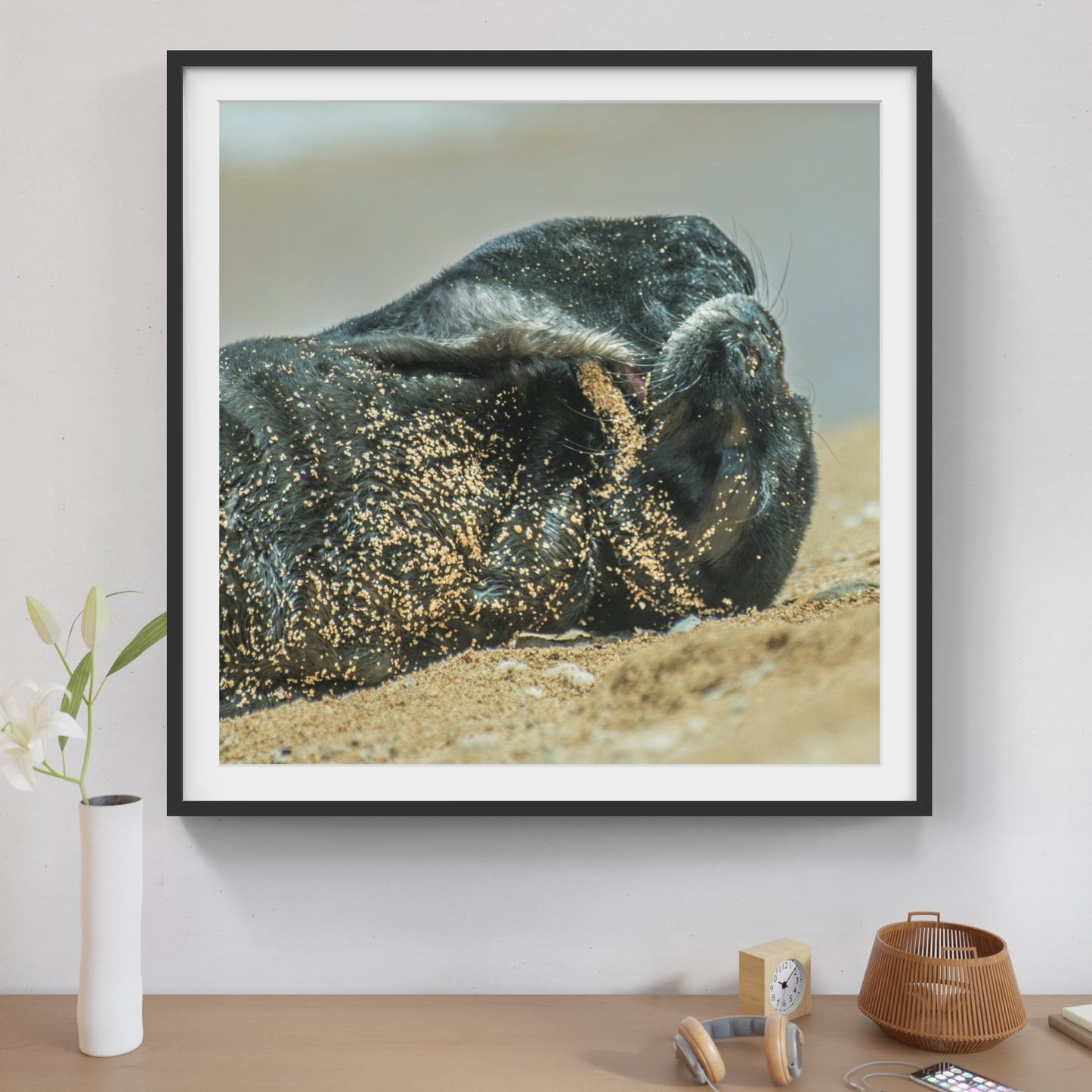 Monk Seal Pup 8