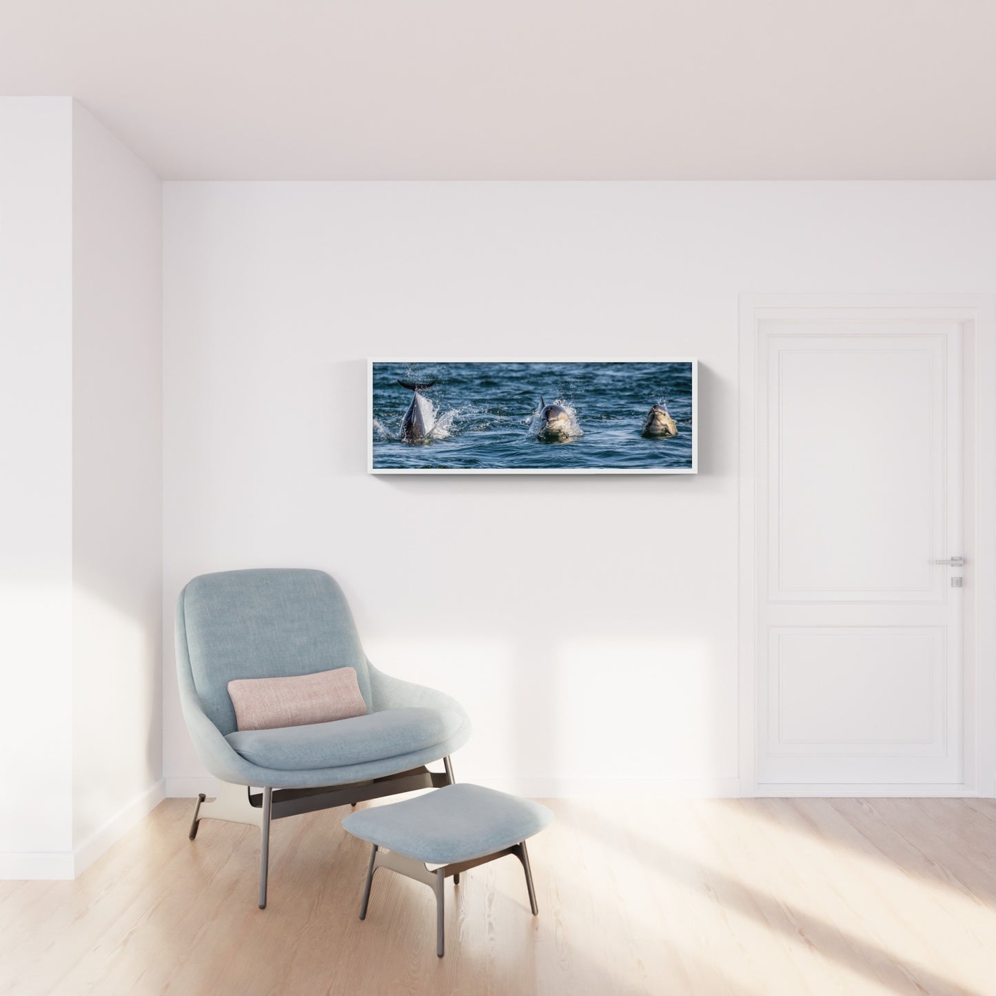 North Atlantic White-Sided Dolphins Pano