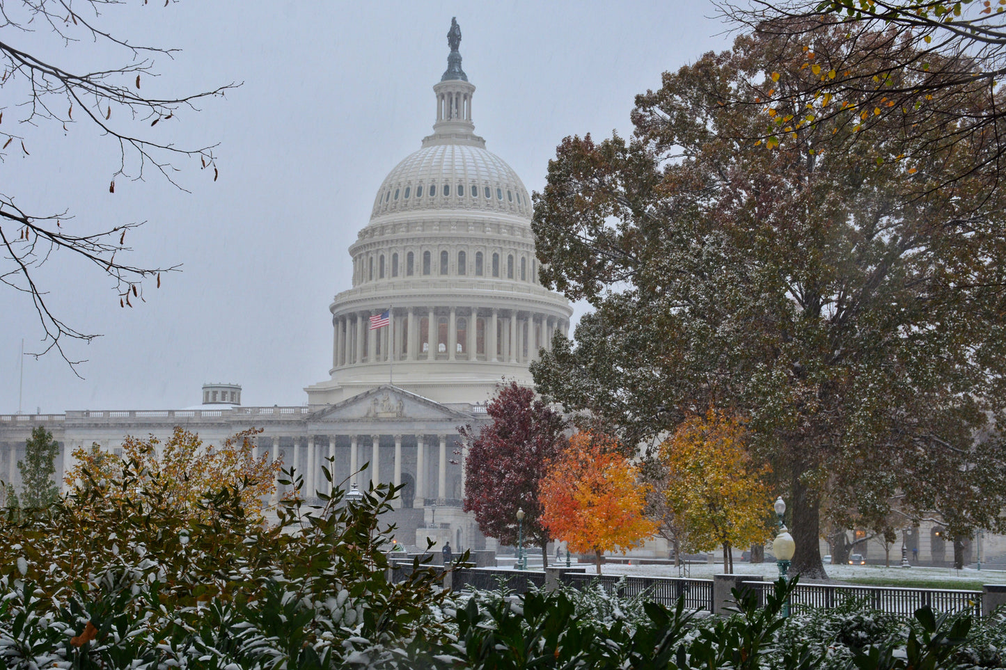 DC Fall Snowstorm 6