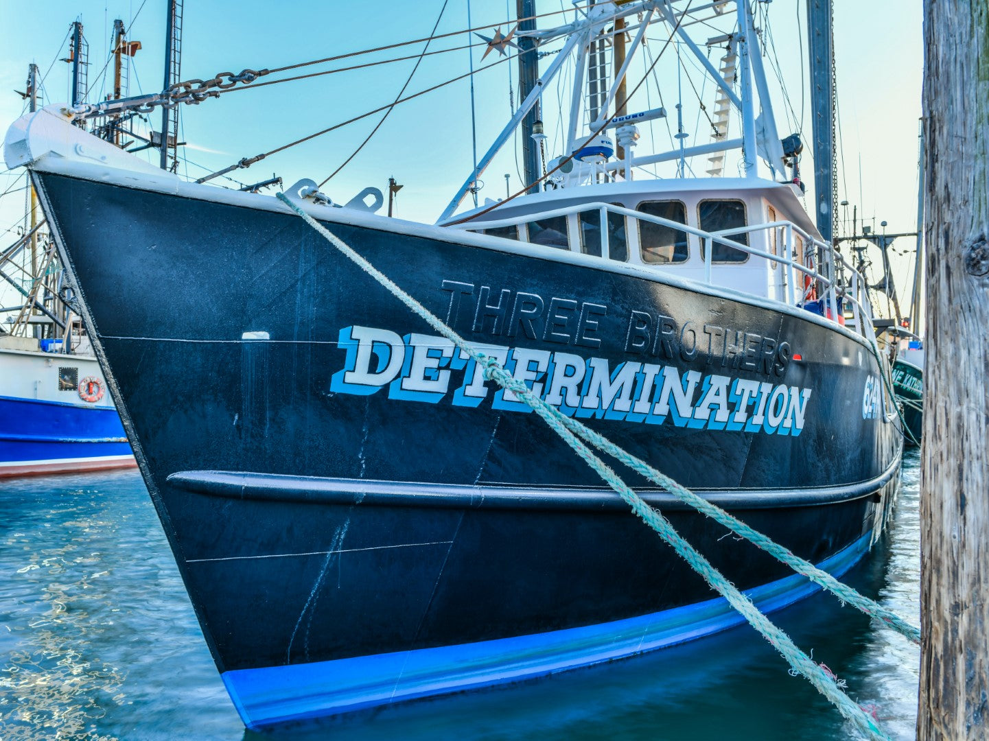 Determination 16