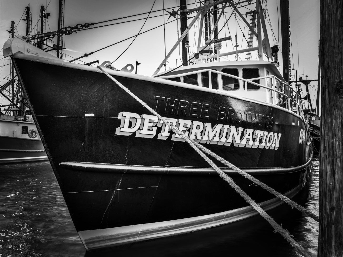 Determination 17
