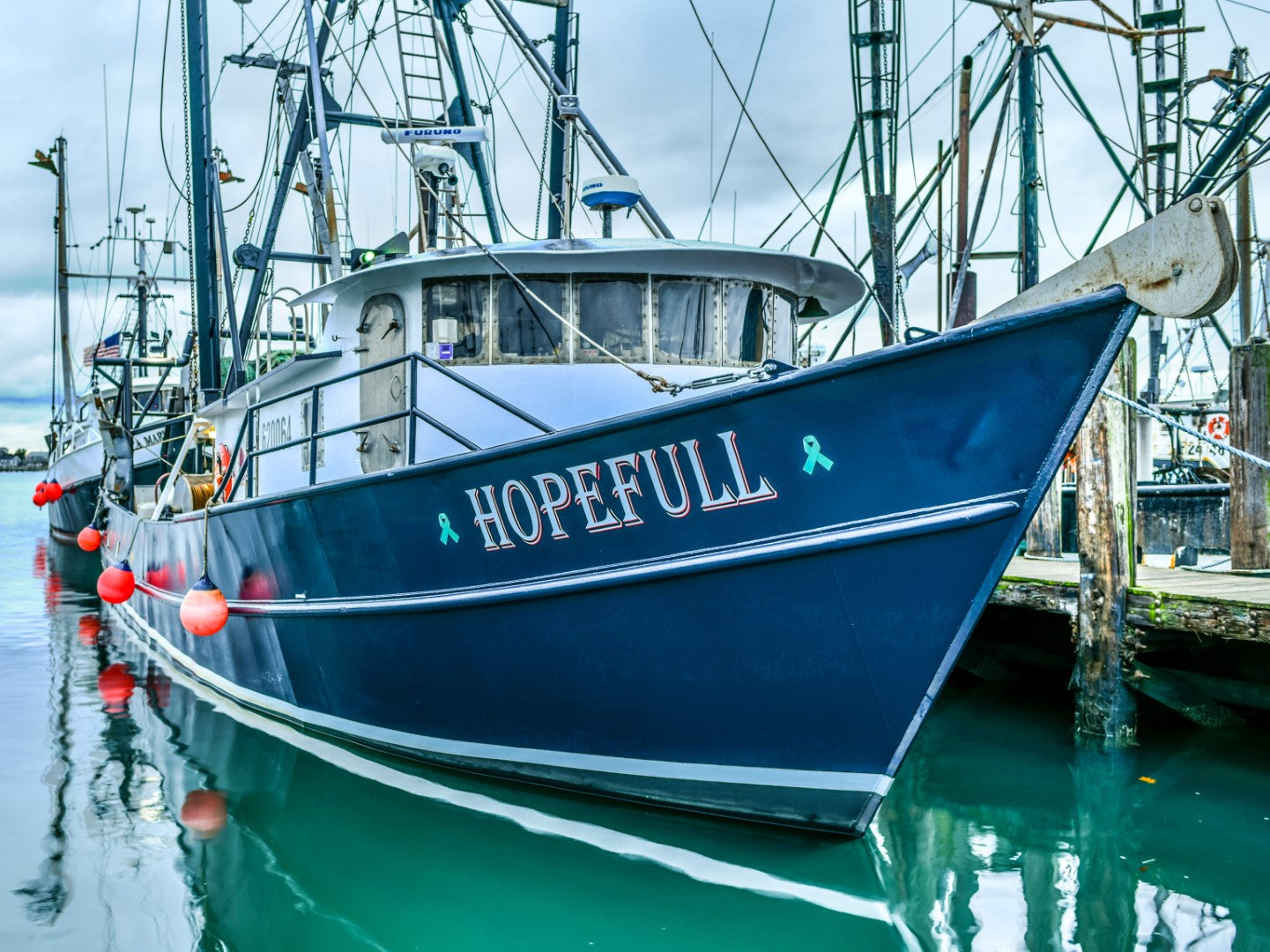 Hopefull 12