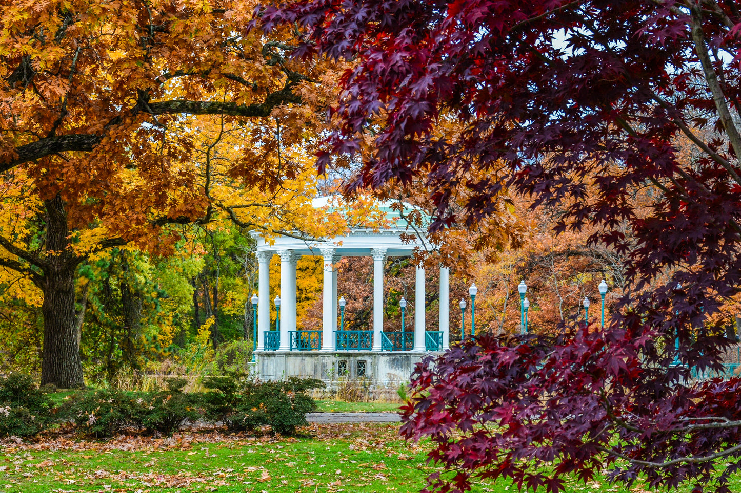 Providence Fall 5