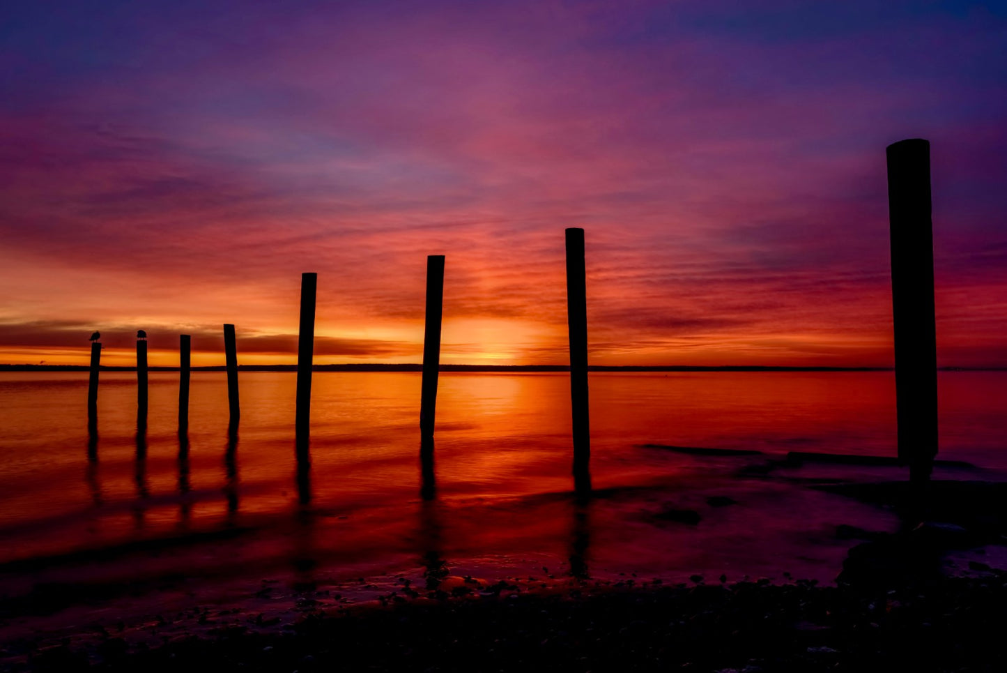 Calf Pasture Point Beach 11