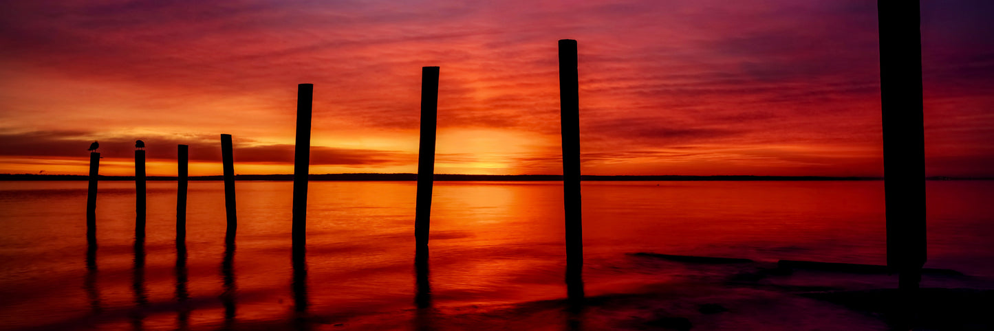 Calf Pasture Beach Pano 1