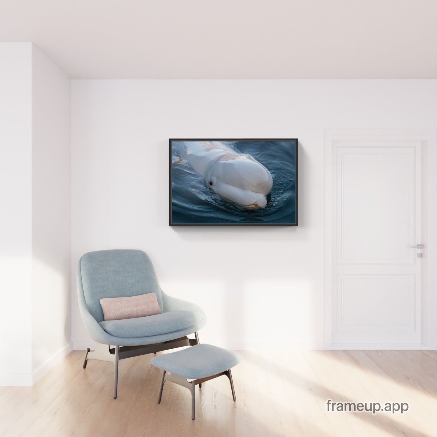 Beluga 3