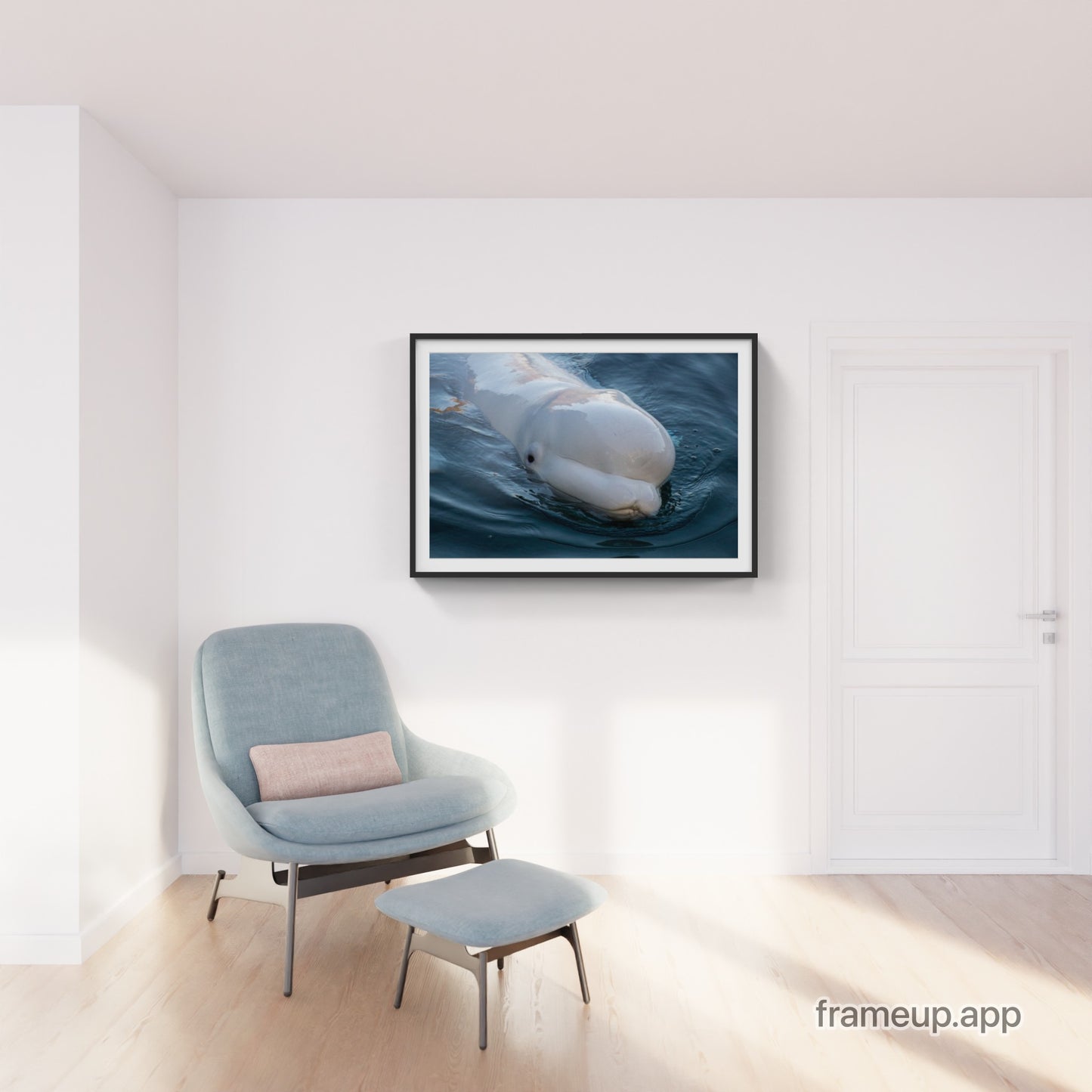 Beluga 3
