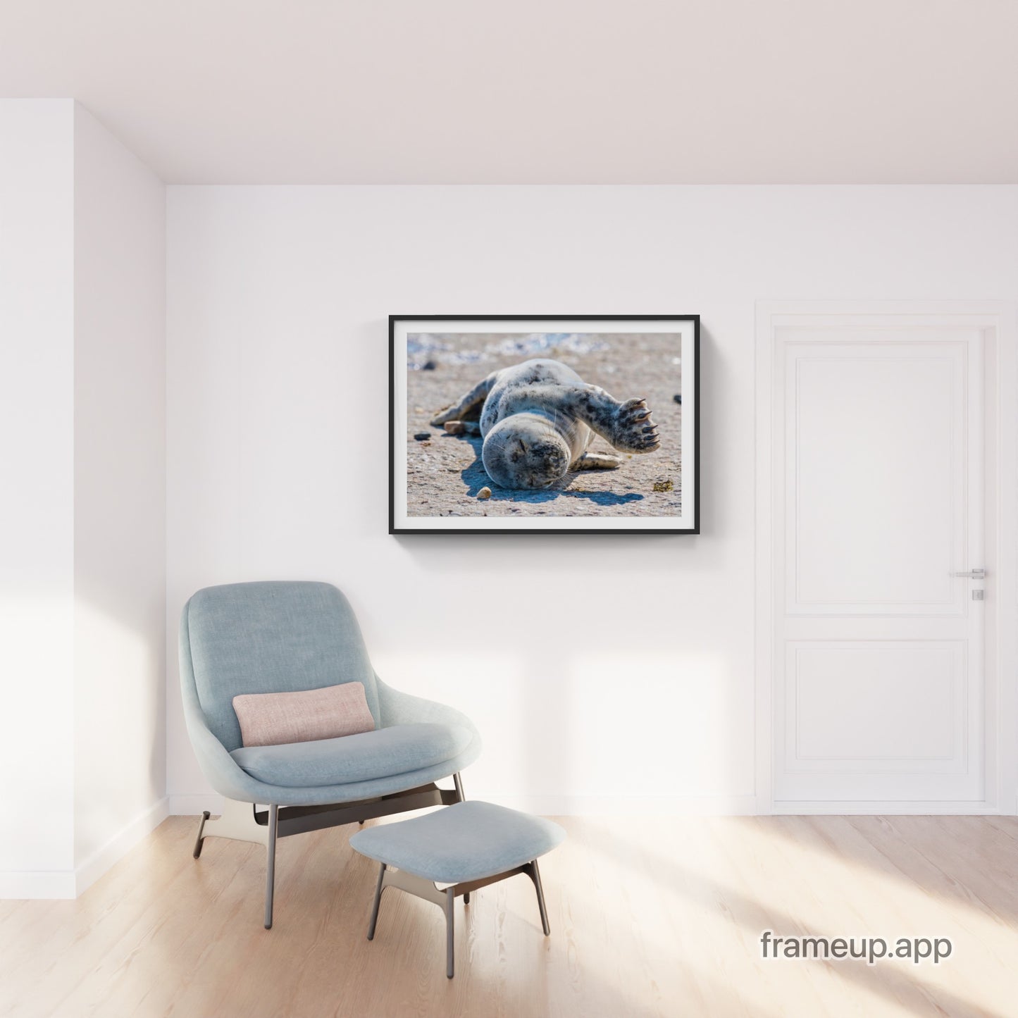 Grey Seal Pup 16