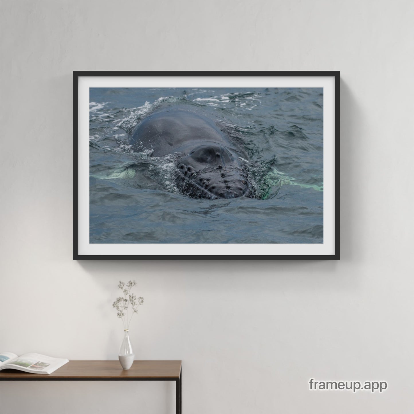 Humpback Calf Smile 1