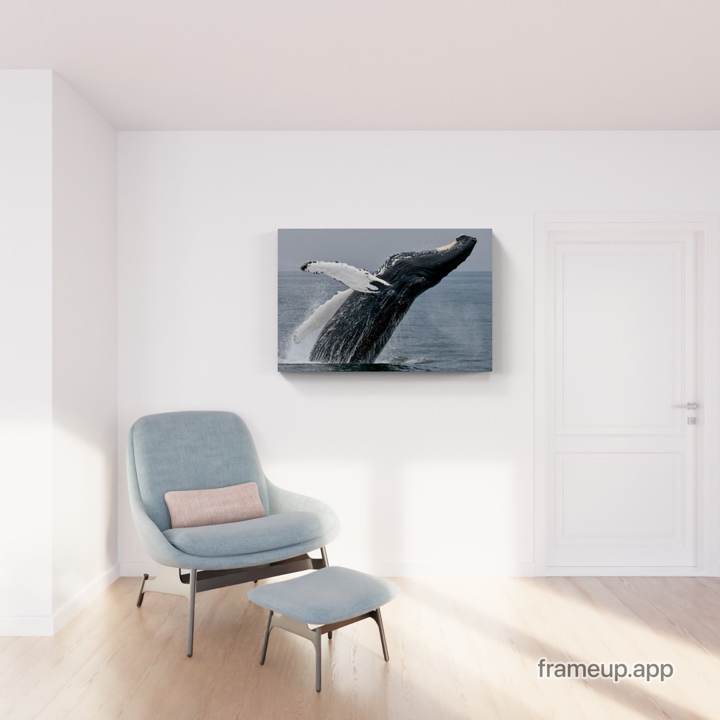 Humpback Whale Breach 1