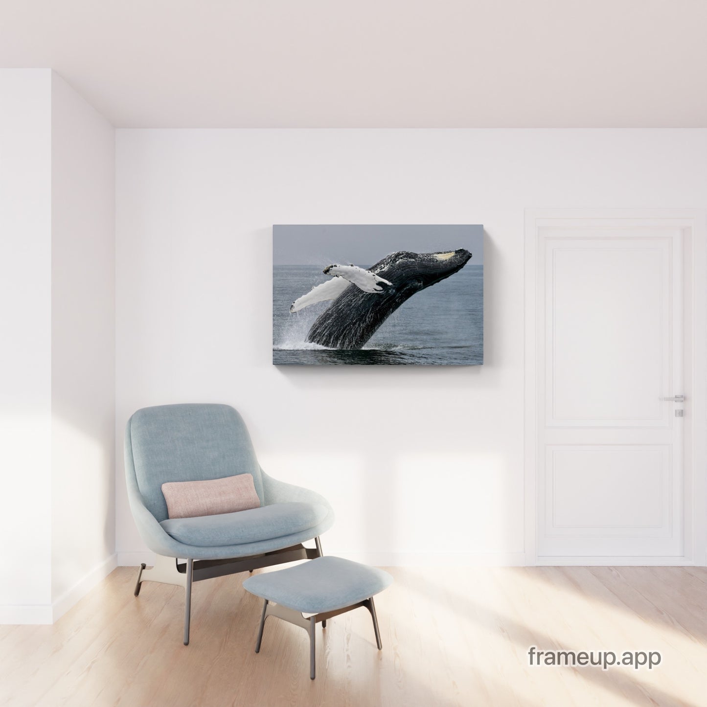 Humpback Whale Breach 2