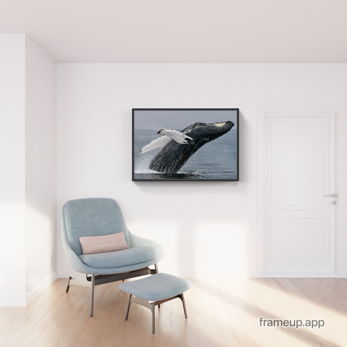 Humpback Whale Breach 2