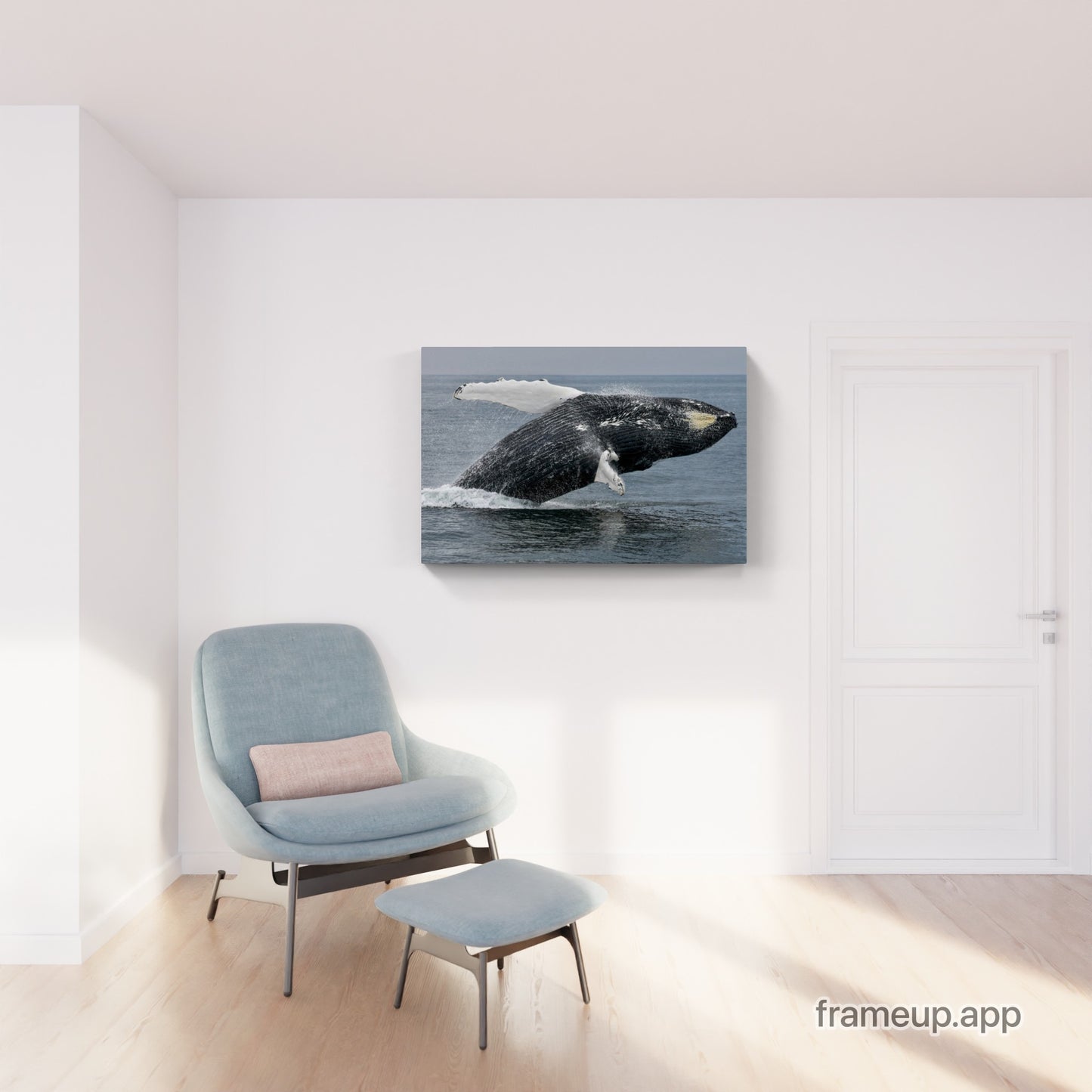 Humpback Whale Breach 4