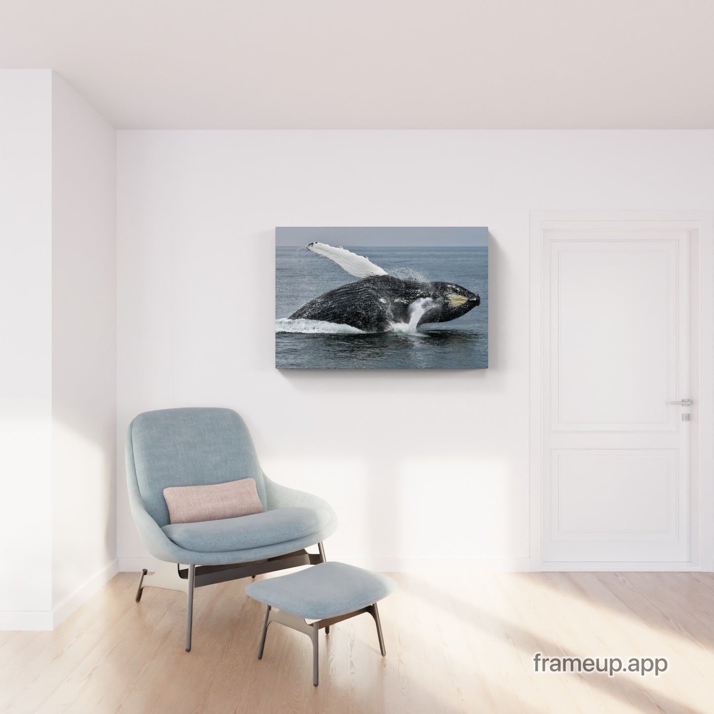 Humpback Whale Breach 5