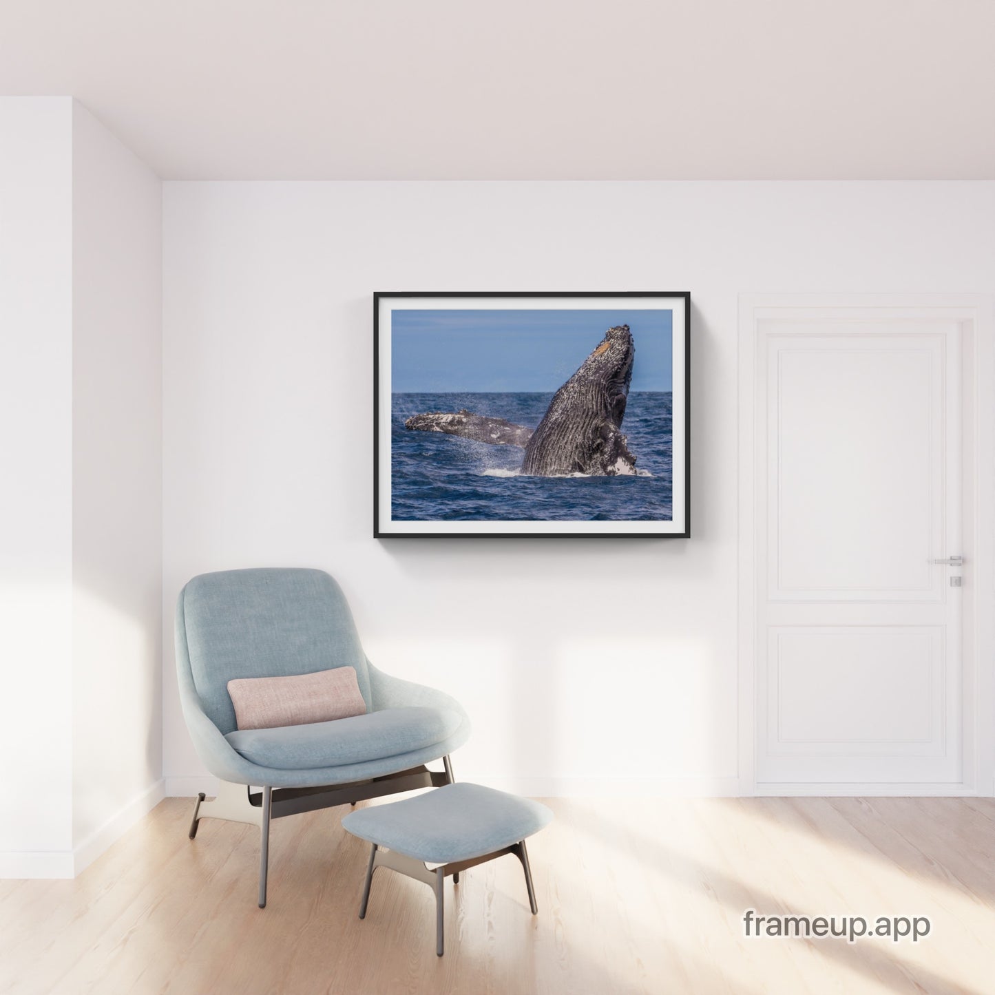 Humpback Whale Breach 7