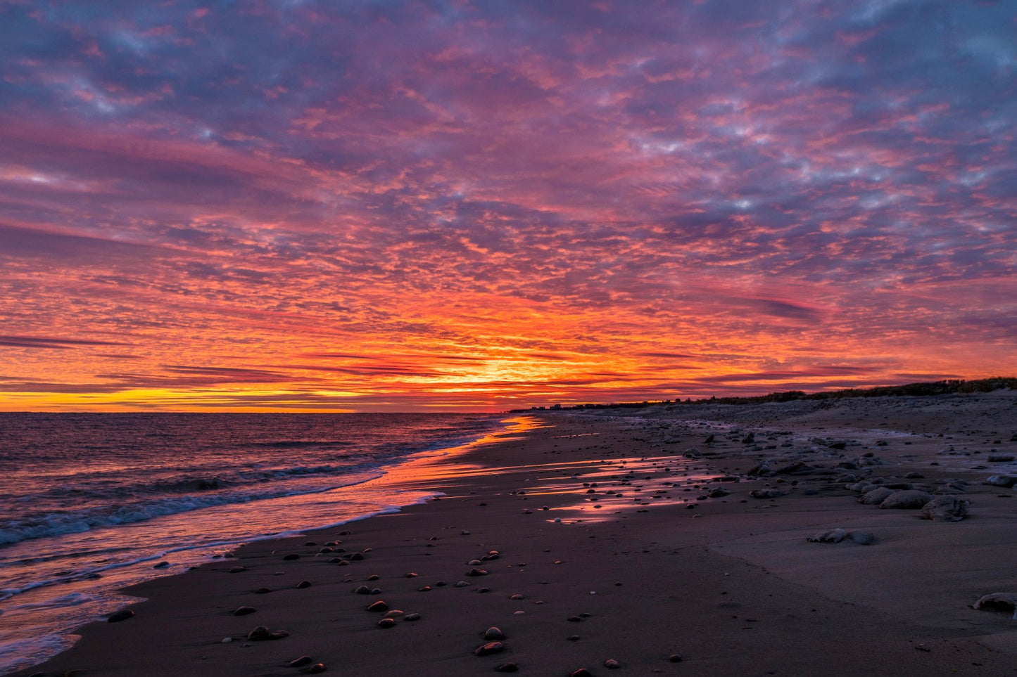 Moonstone Beach 3