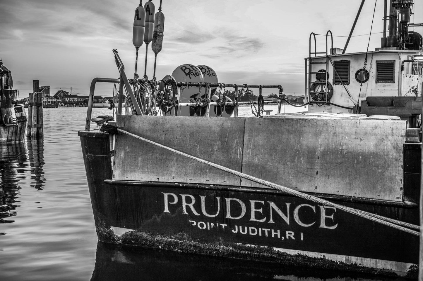 Prudence 6