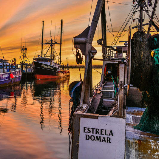Stormy Estrela 1