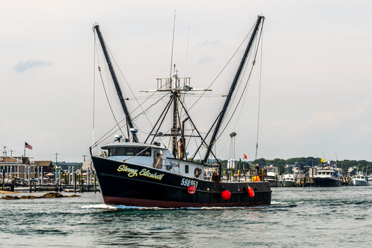 Stormy Elizabeth 20