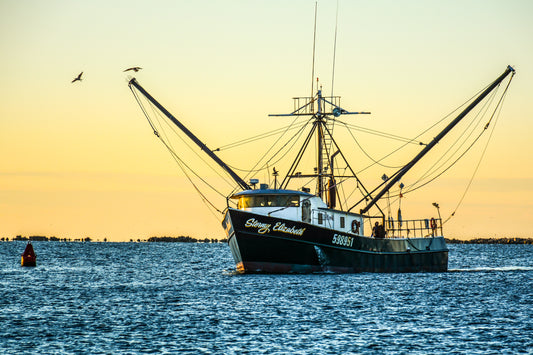 Stormy Elizabeth 28