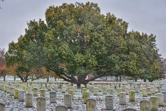 Arlington Cemetery Fall Snowstorm 1