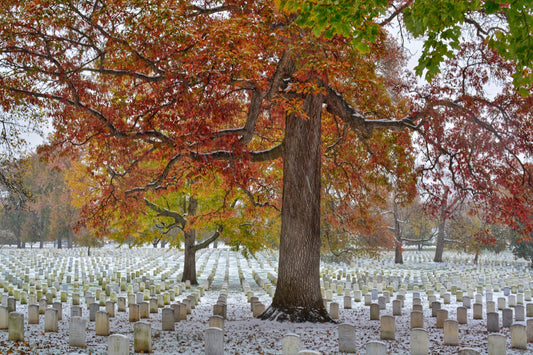 Arlington Cemetery Fall Snowstorm 6