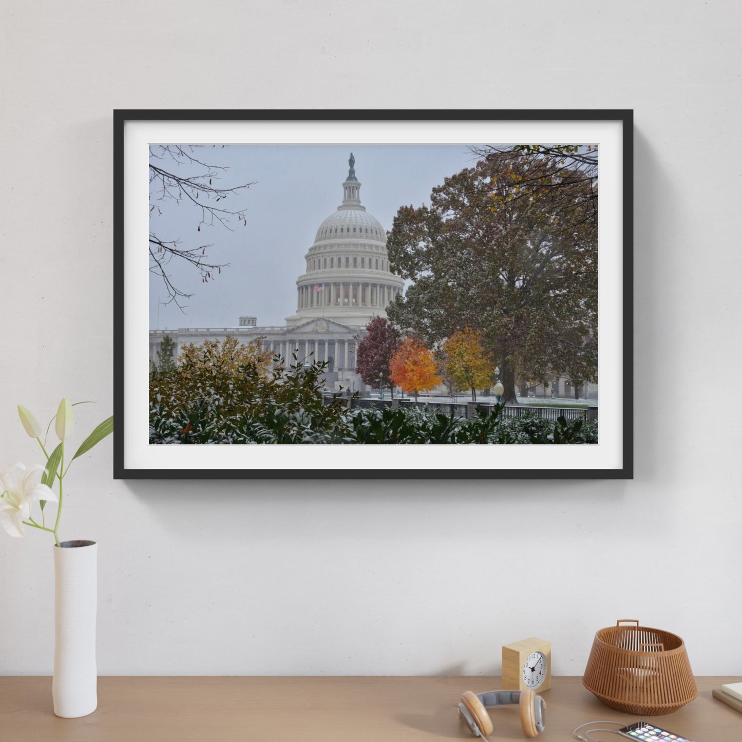 DC Fall Snowstorm 6