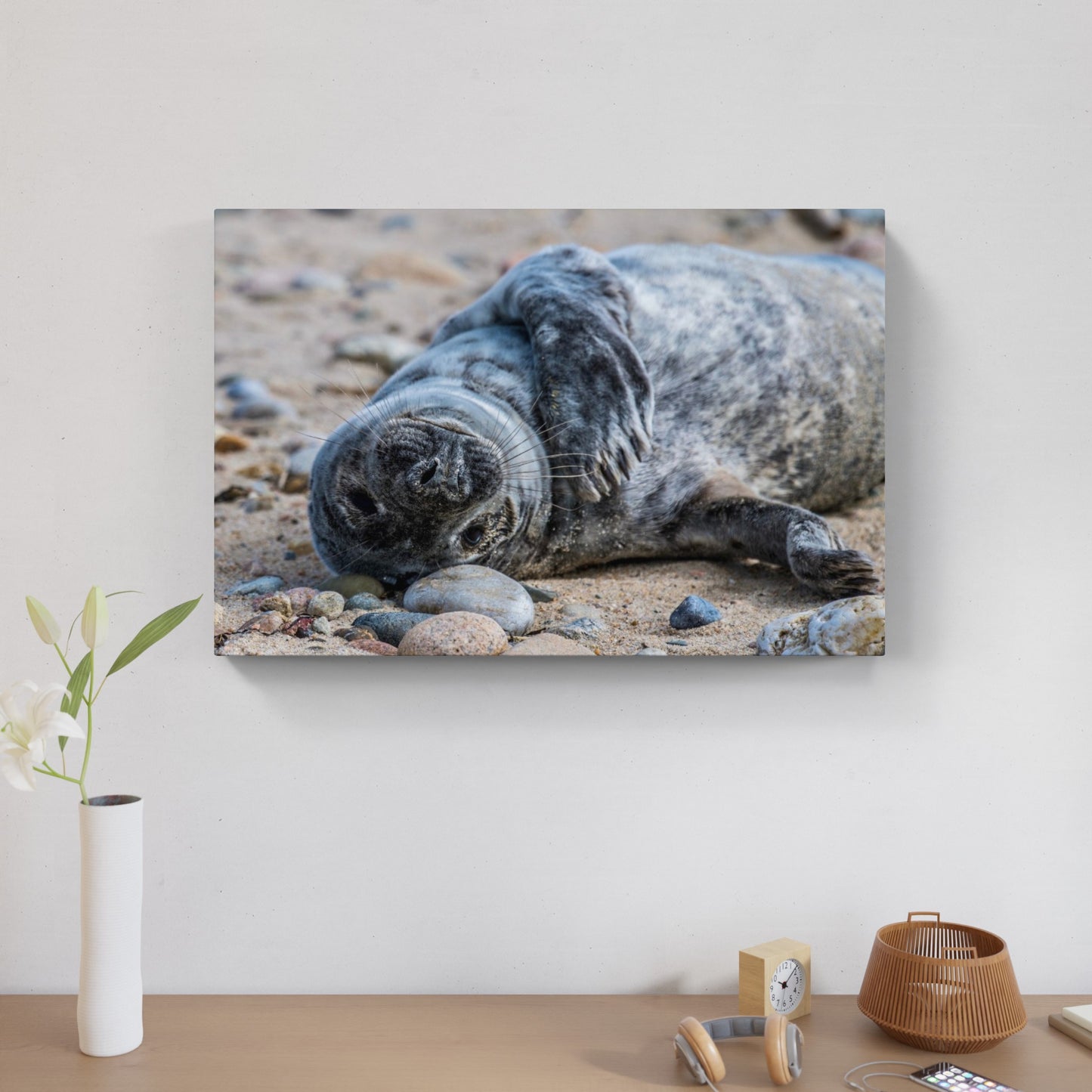 Grey Seal Pup 9