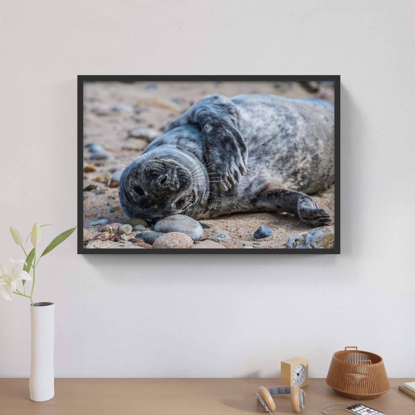 Grey Seal Pup 9