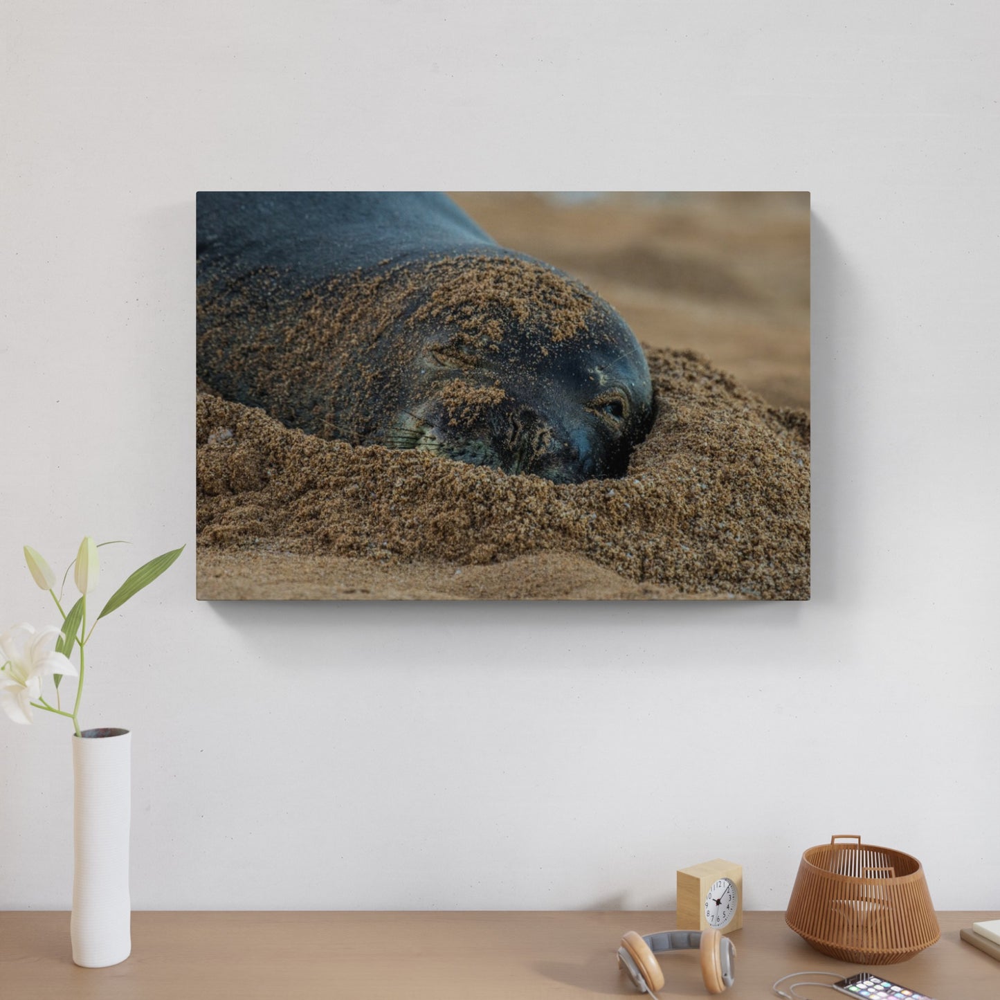 Monk Seal 3