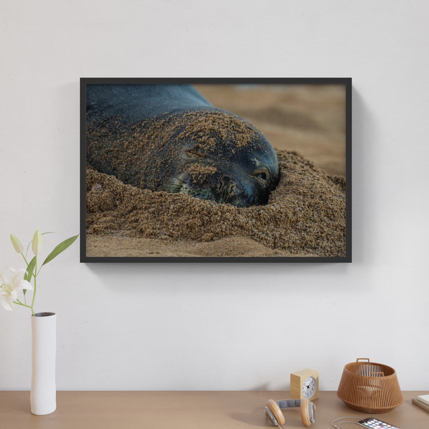 Monk Seal 3