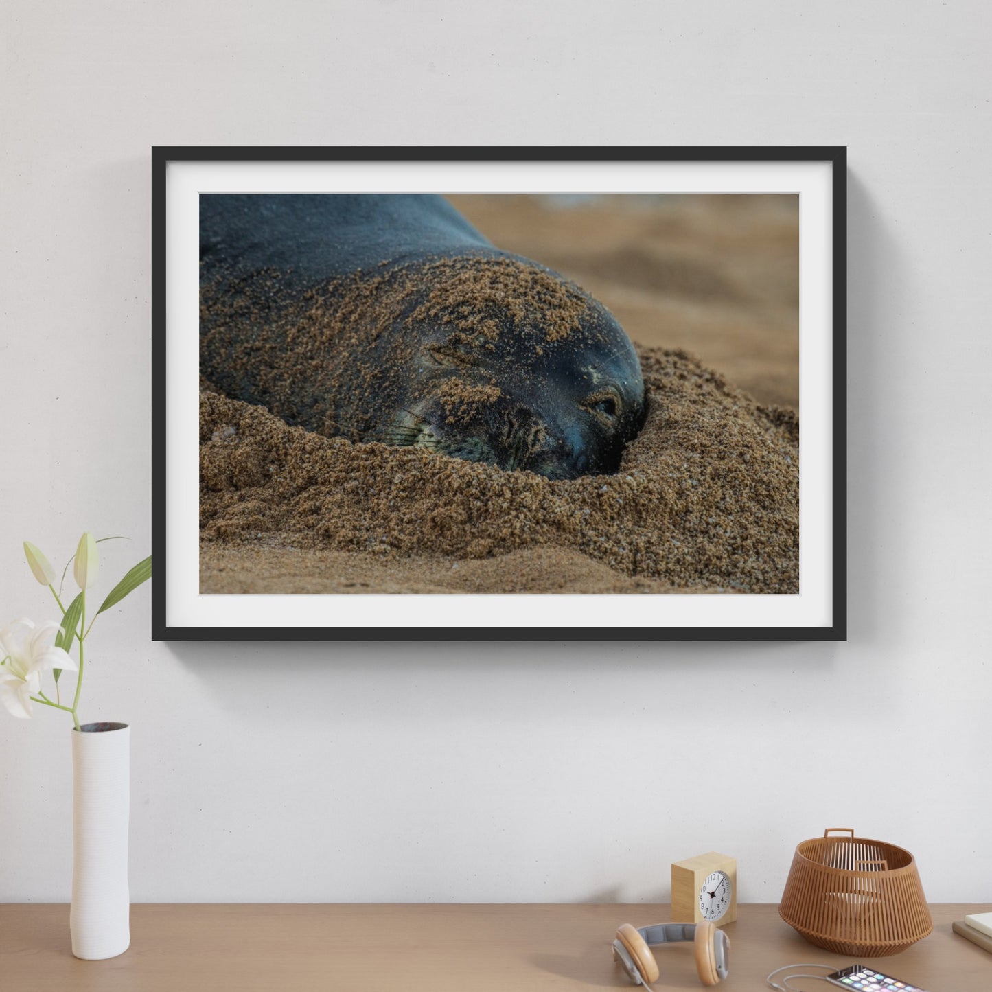 Monk Seal 3