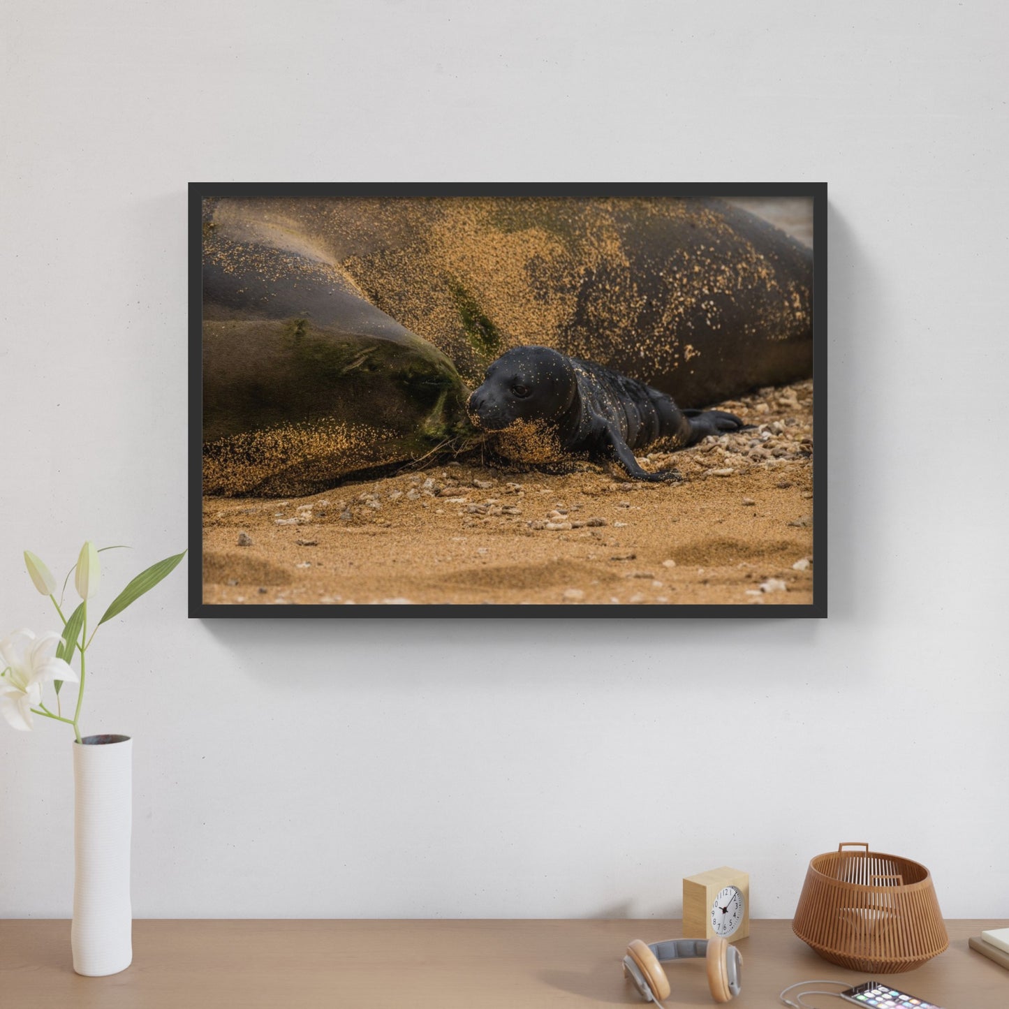 Monk Seal Pup 1