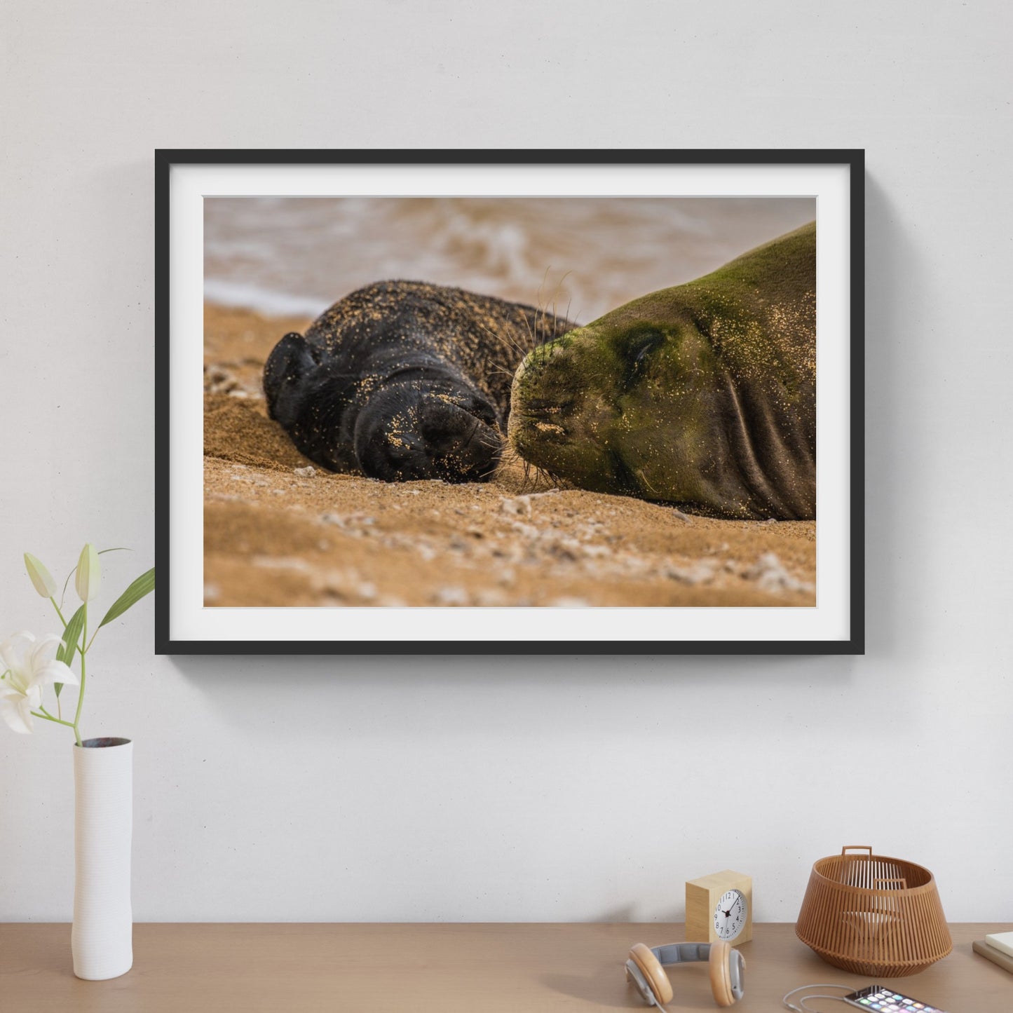 Monk Seal Pup 3