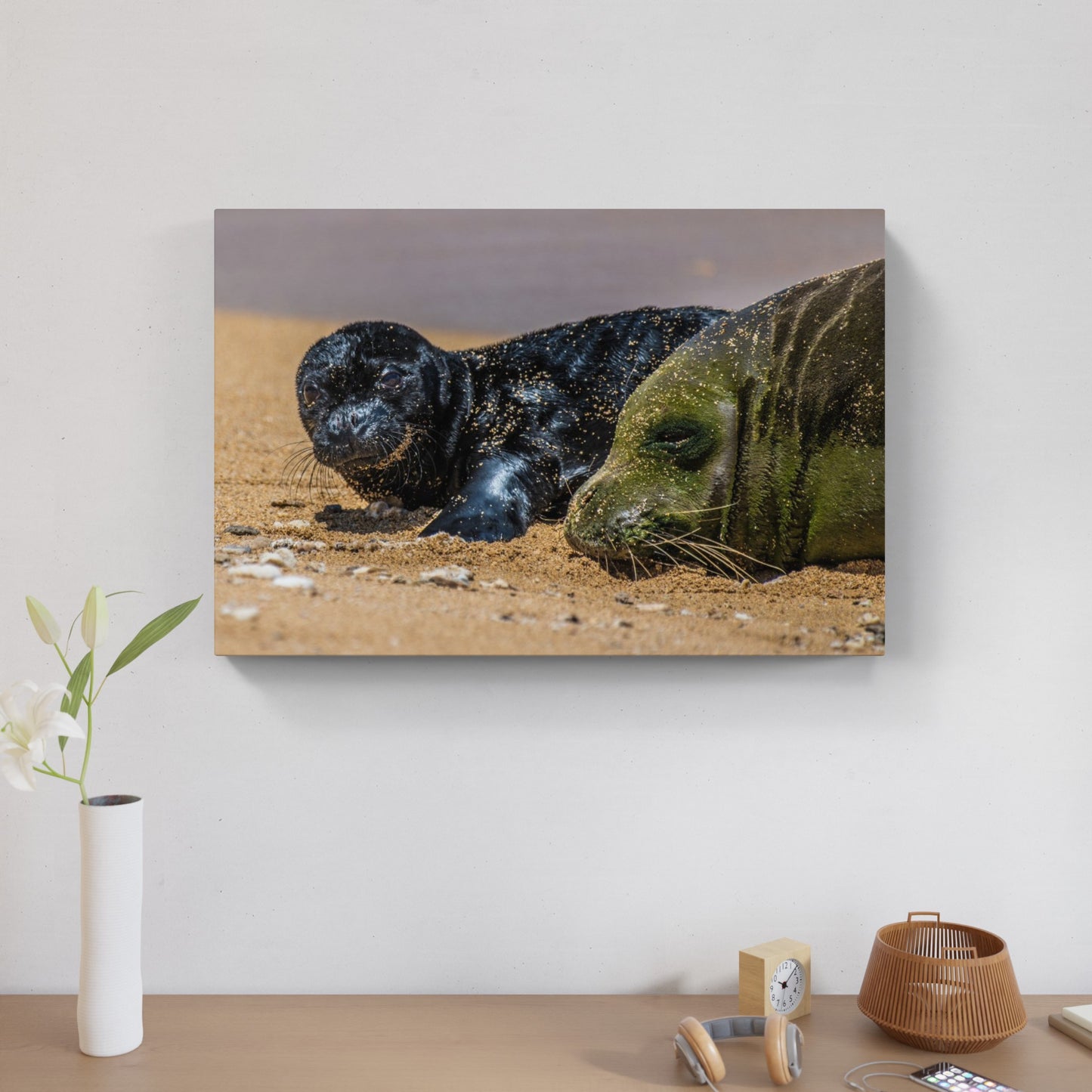 Monk Seal Pup 7