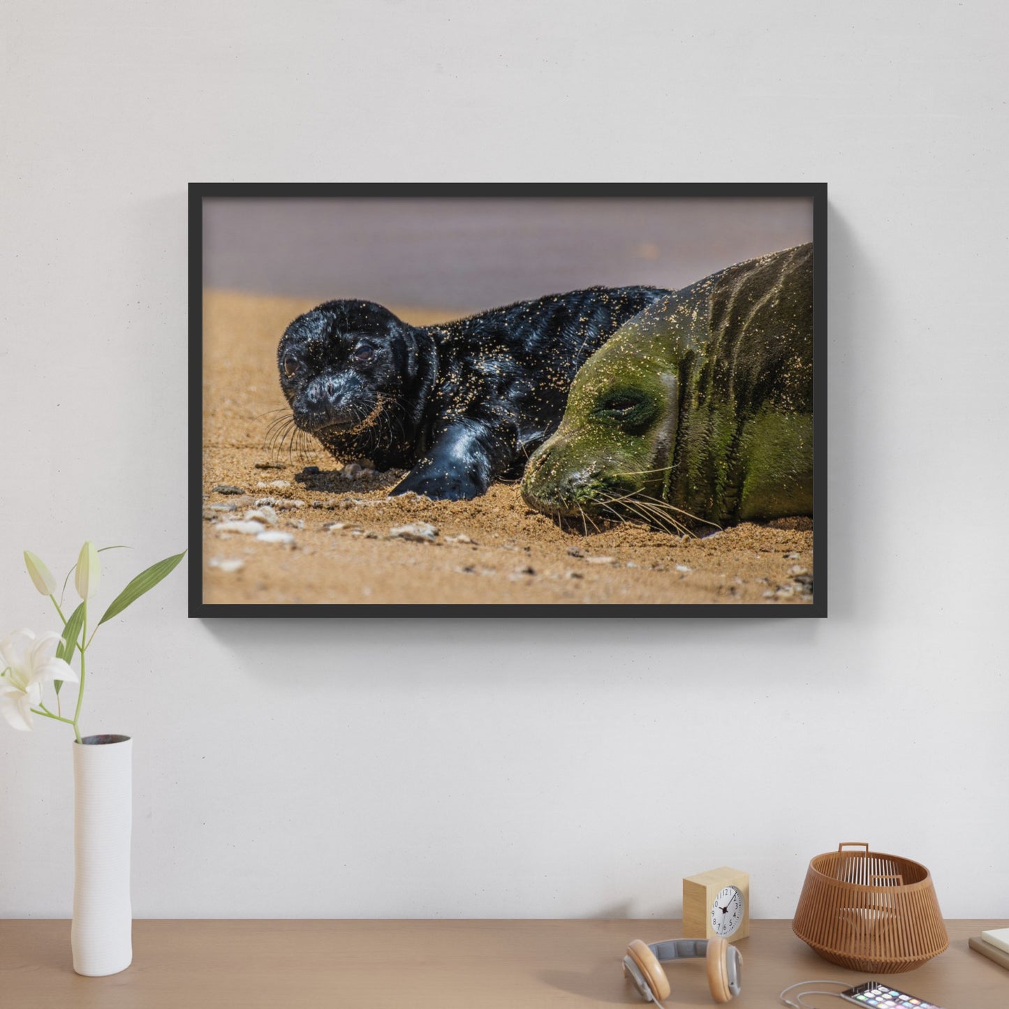 Monk Seal Pup 7