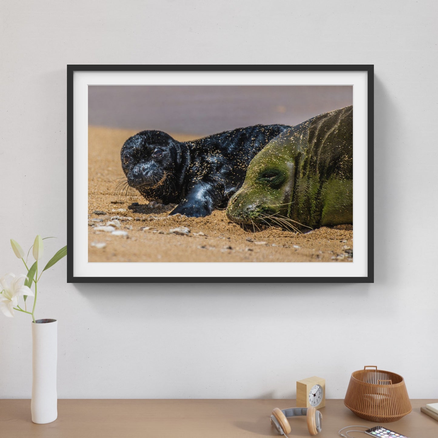 Monk Seal Pup 7