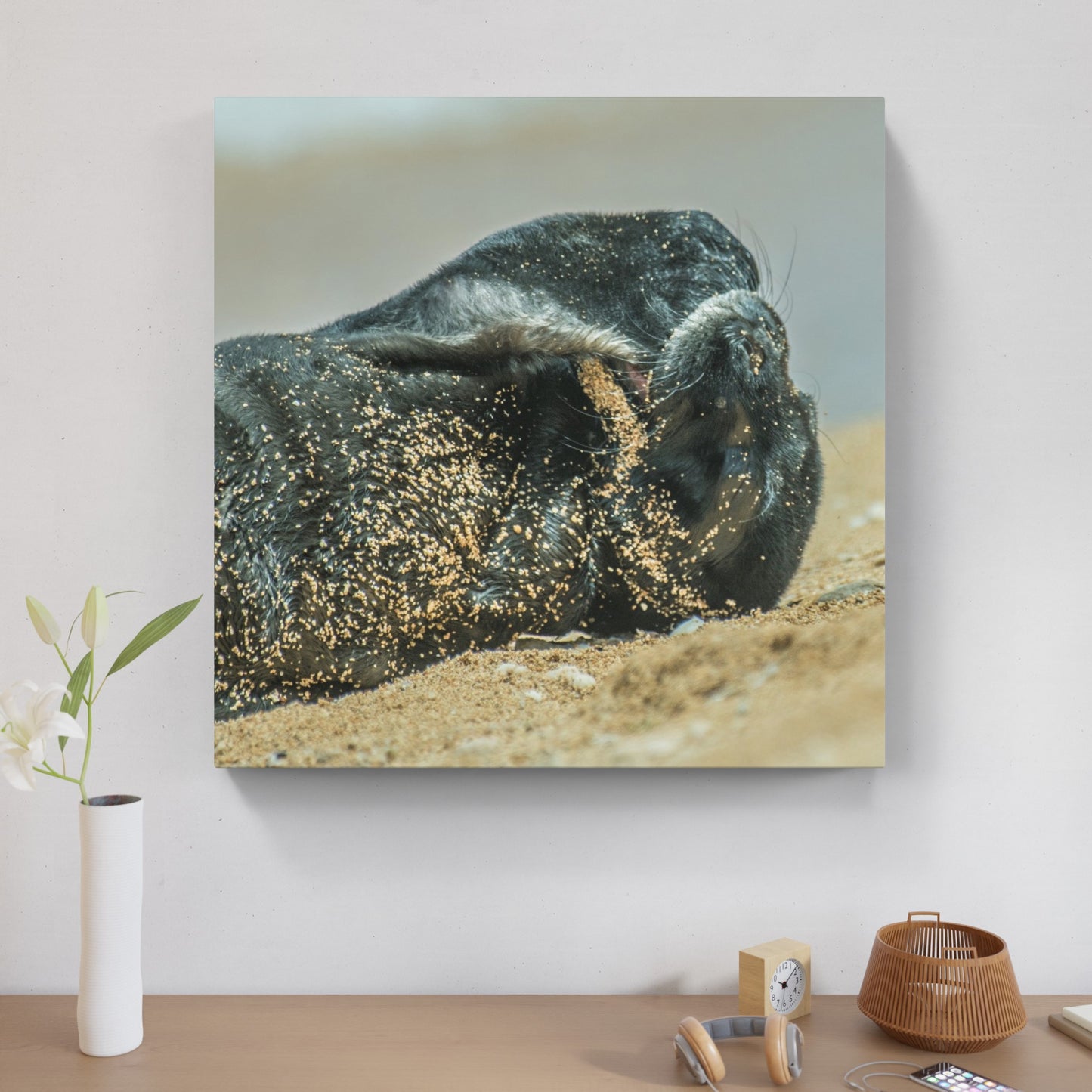 Monk Seal Pup 8