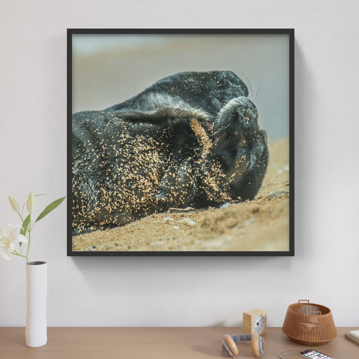 Monk Seal Pup 8