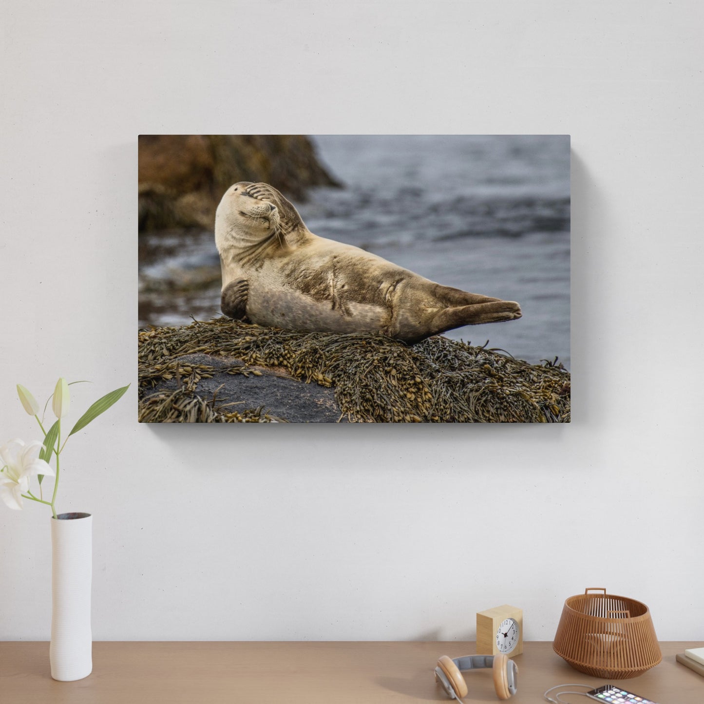 Seal 1