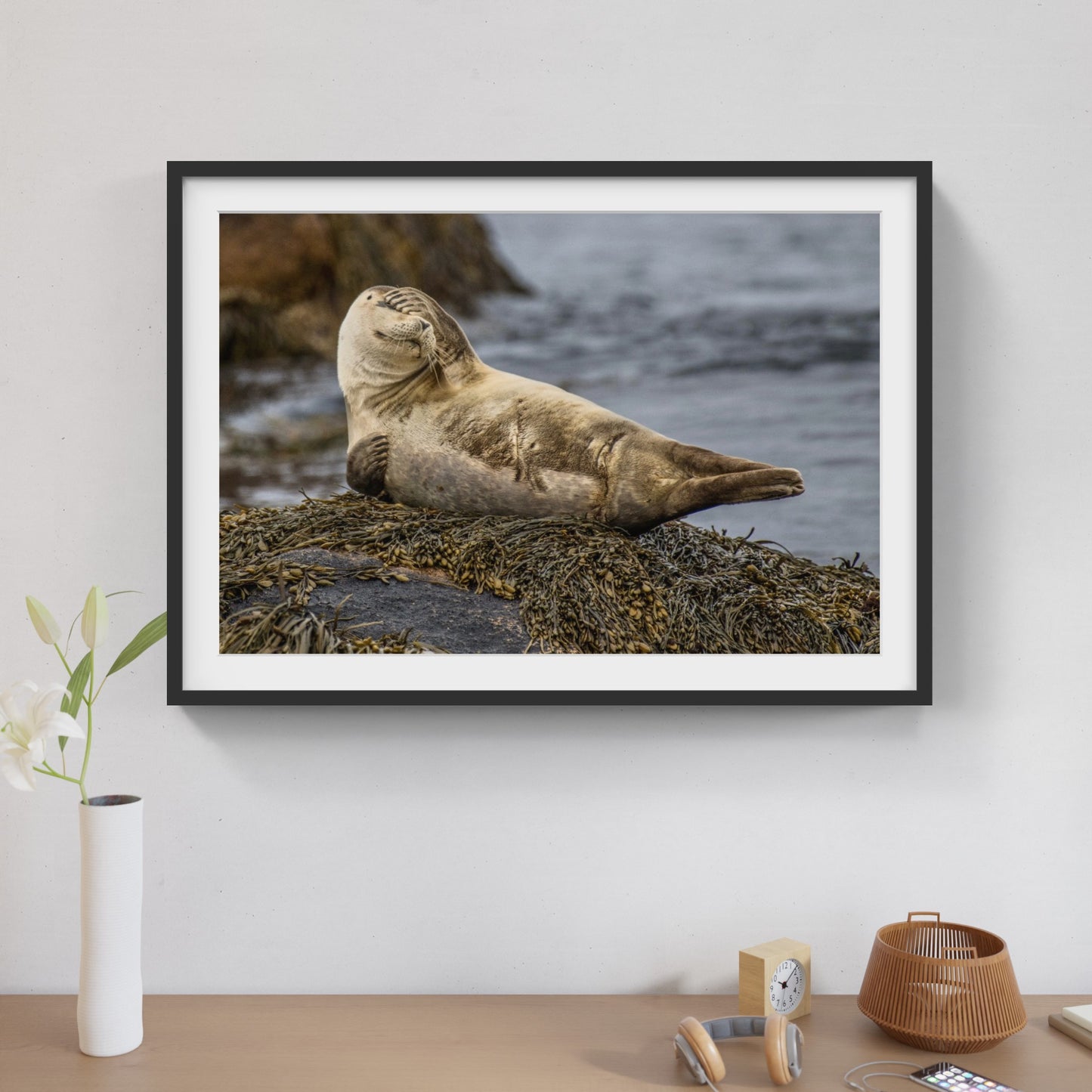 Seal 1