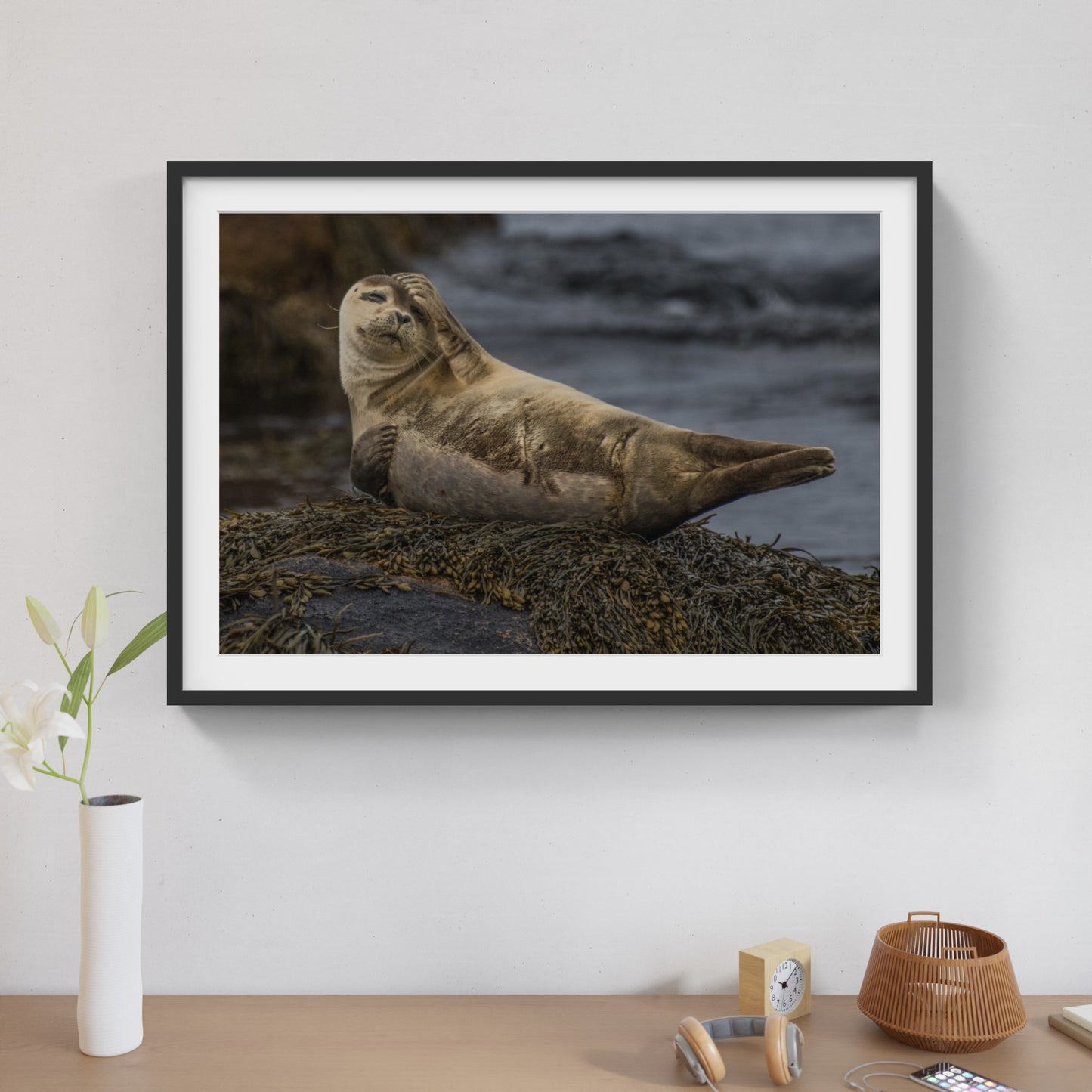 Seal 2