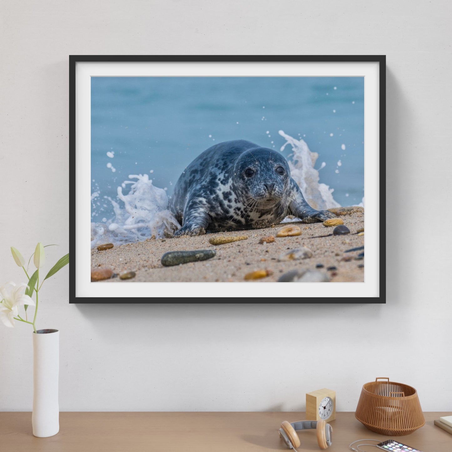 Seal 3