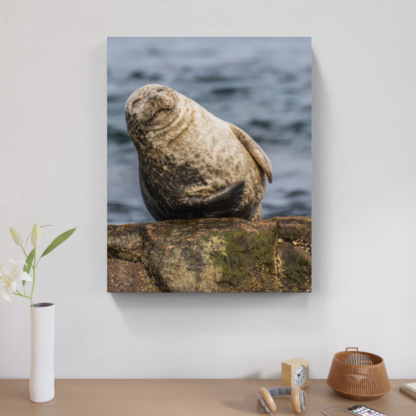 Seal 7