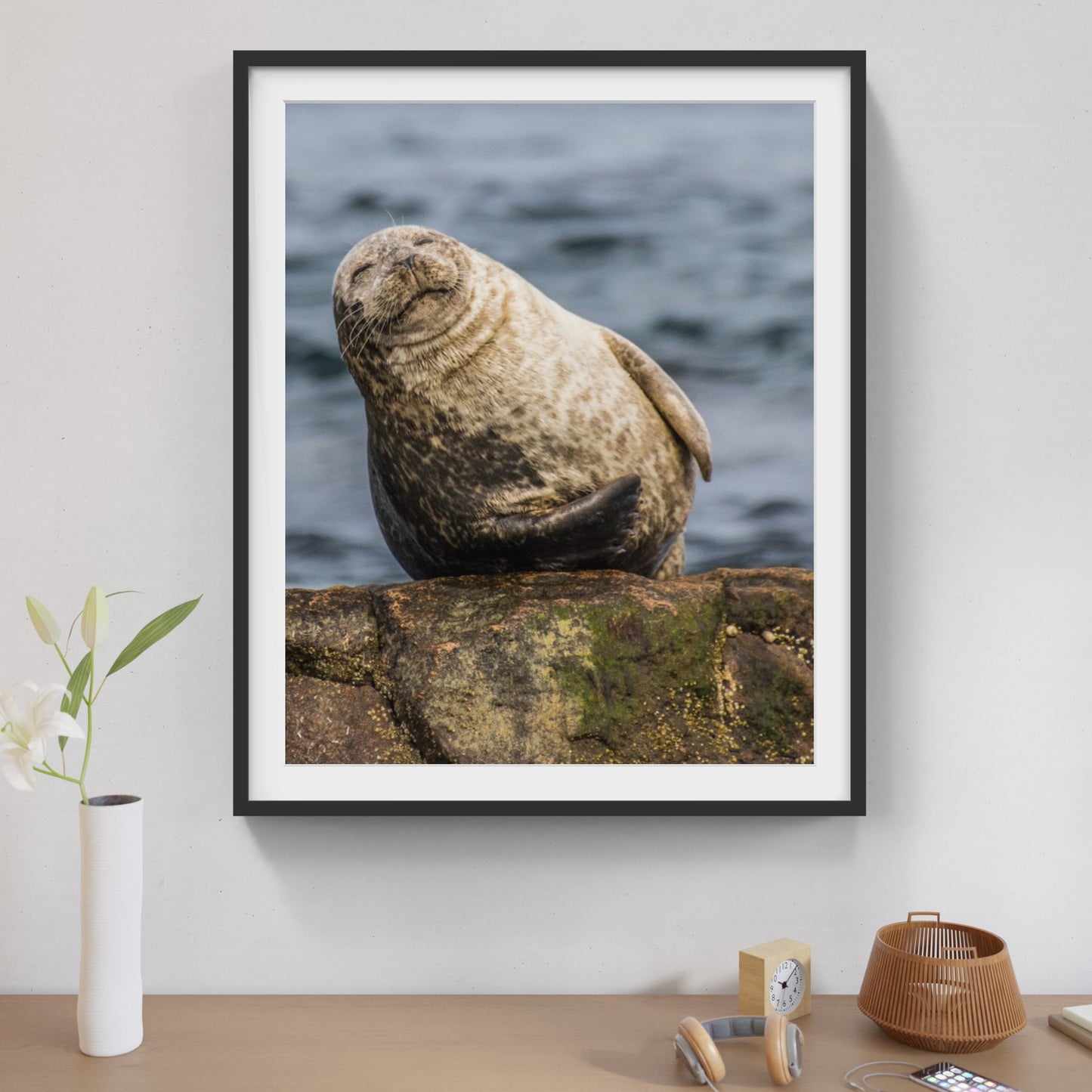 Seal 7