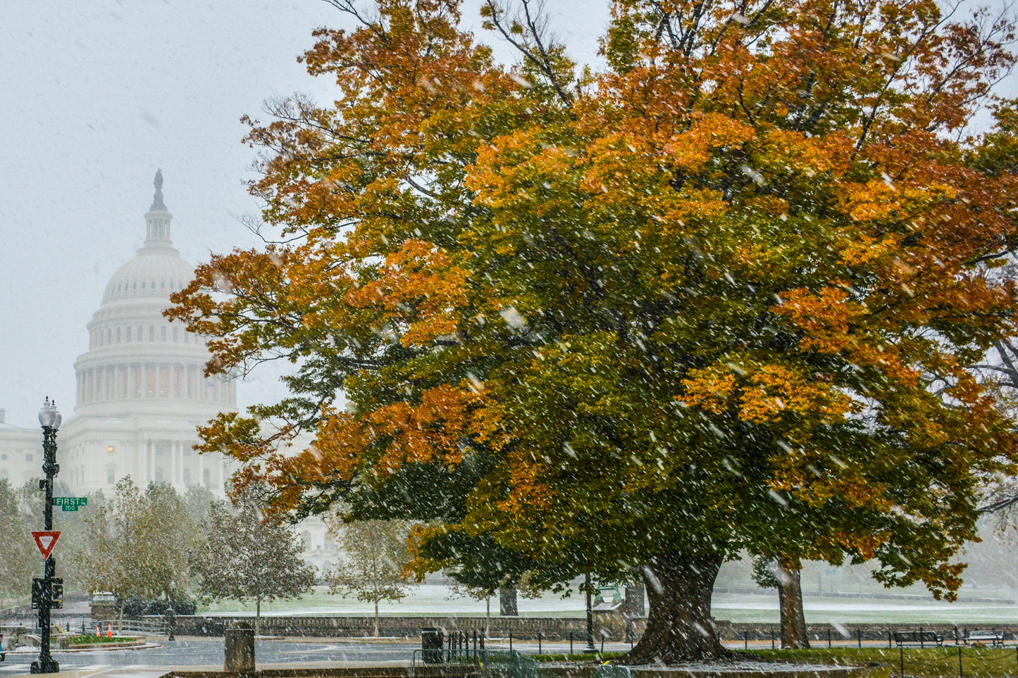 DC Fall Snowstorm 5