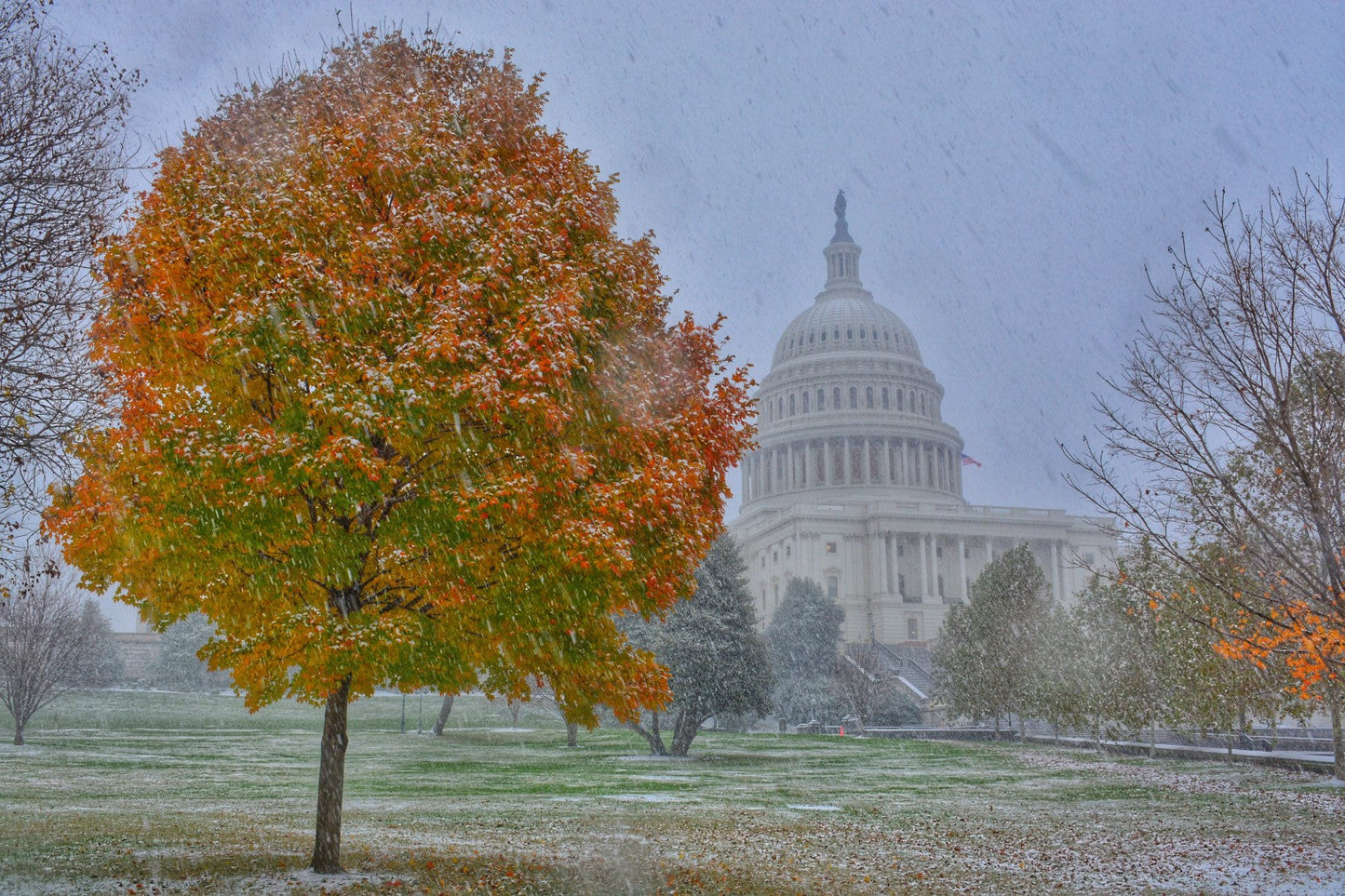 DC Fall Snowstorm 8