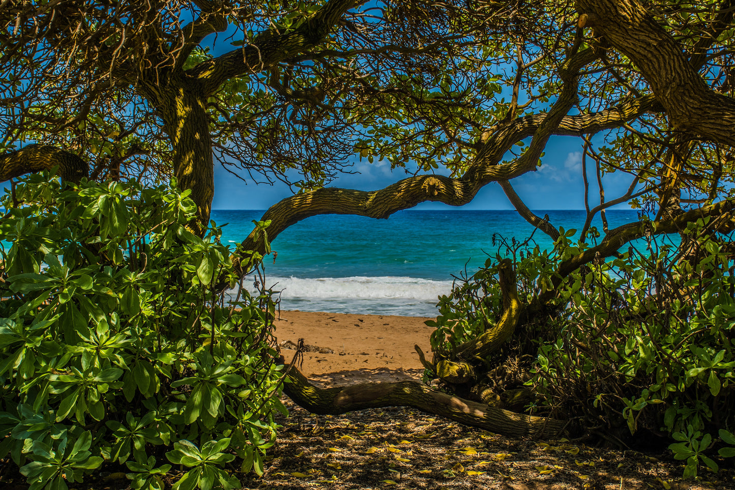 Kauai 3